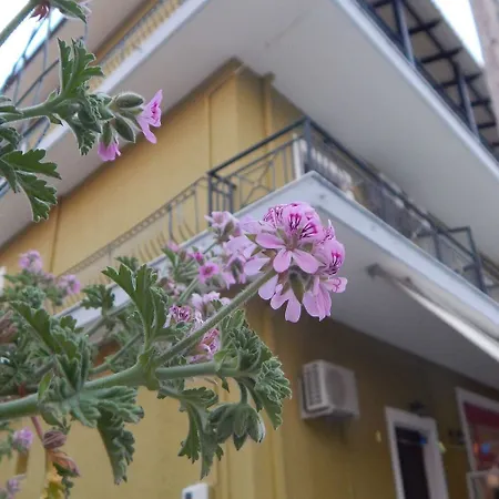 Petania & Ξενοδοχείο με διαμερίσματα